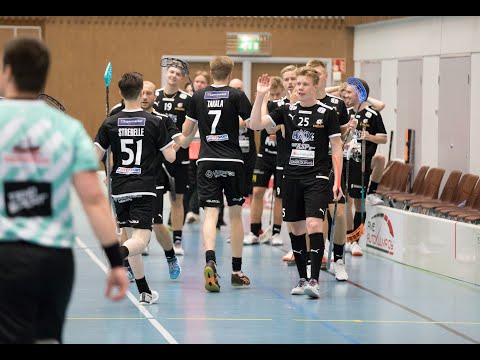 Maalikooste Tiikerit–Steelers 4-5 (Inssi-Divari)