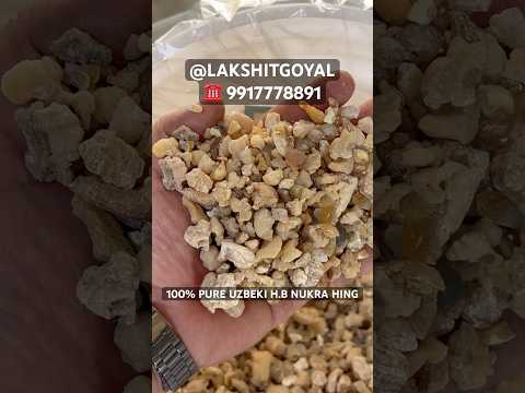 Kips Uzbeki Nukra Hing