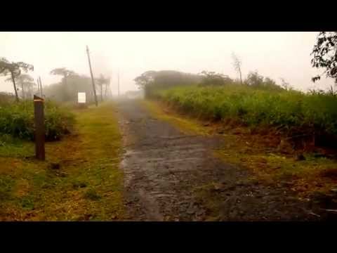 Вулкан Мон-Пеле. Остров Мартиника