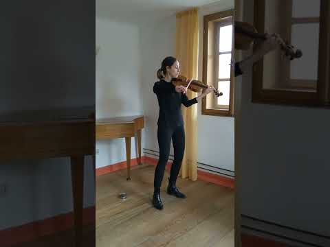 W. A. Mozart - Violinkonzert in A-Dur und R. Strauss - Don Juan