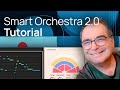 Video 3: Tutorial