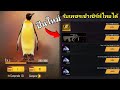 ฟีฟายแอดวานซ์