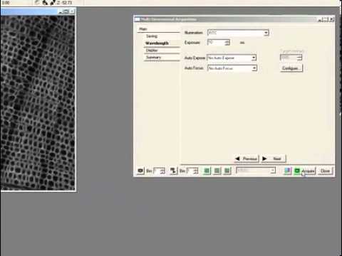 download lagu mp3 mp4 Metamorph Software, download lagu Metamorph Software gratis, unduh video klip Metamorph Software