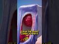 Clean the Giant Candy to Win It