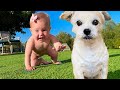 Dog teaches Baby how to crawl! 👶🐶[ ADORABLE ❤]