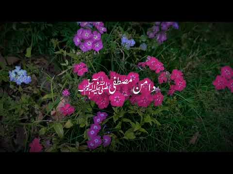 ASIOO THAM LO #youtubevideo #foryou #youtubeshorts