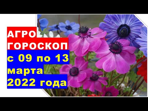 , title : 'Агрогороскоп с 09 по 13 марта 2022 года'