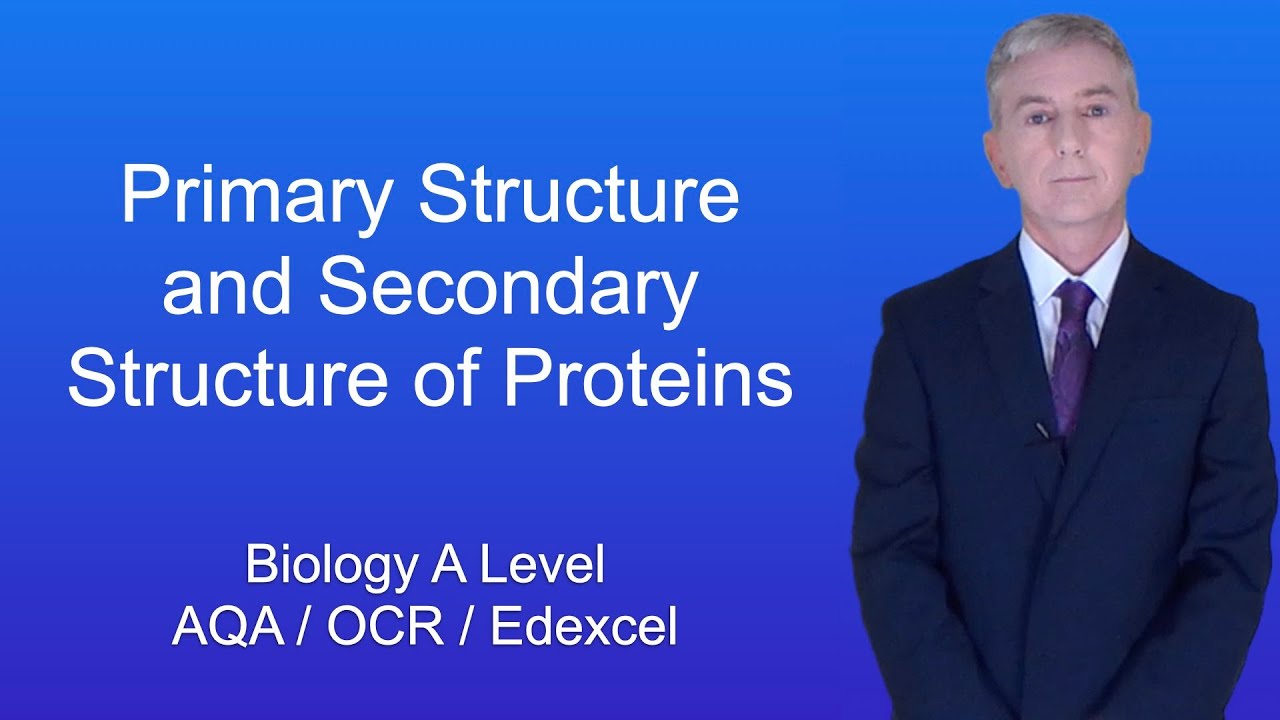 A Level Biology Revision "Primary Structure and Secondary Structure of Proteins"