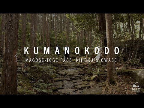 Kumanokodo Magose-toge Pass - KIHOKU & OWASE