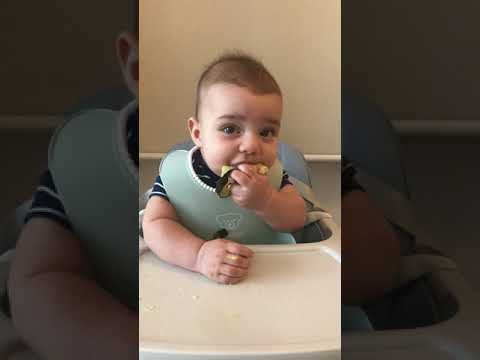 , title : 'Bebê de 6 meses comendo Abobrinha (versão extendida) - Introdução Alimentar BLW'