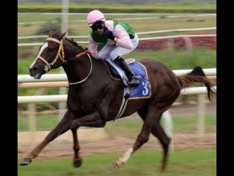 download lagu mp3 mp4 A Sandesh Jockey, download lagu A Sandesh Jockey gratis, unduh video klip A Sandesh Jockey