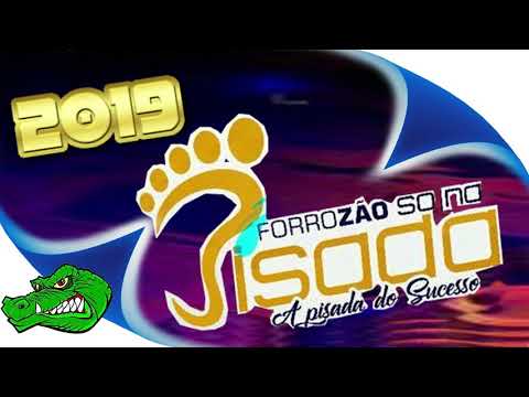FORROZAO SÓ NA PIZADA - A PISADA DO SUCESSO MUSICAS NOVAS 2019 (JACA CDS)
