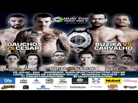 Muay Thai Fight Pro 3