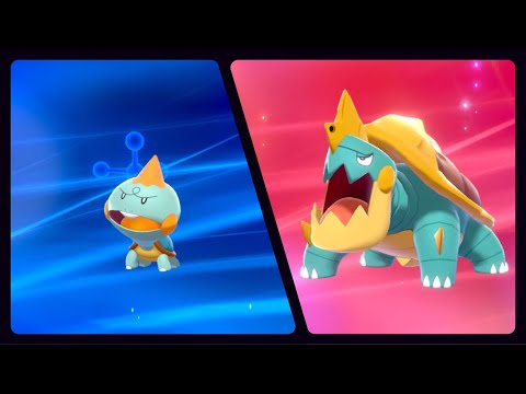 CHEWTLE EVOLVED INTO DREDNAW (POKEMON SHIELD)