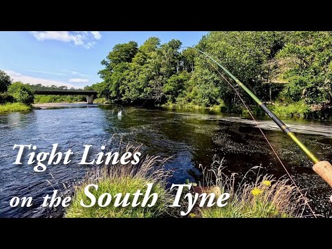 Summer Salmon and Sea Trout fishing on the South Tyne