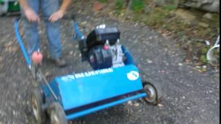 Bluebird De Thatcher