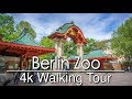 Walking Around Berlin Zoo | 4k | Ambient Music - Let's Go Somewhere New Walking Around Berlin Zoo | 4k | Ambient Music