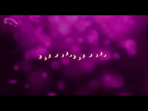 Prompteur karaoké - Stéfane Lyre - L' encre de tes yeux - Francis Cabrel