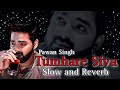 Tumhare Siva|Pawan Singh & Khusboo Jain|Slow and Reverb Song|