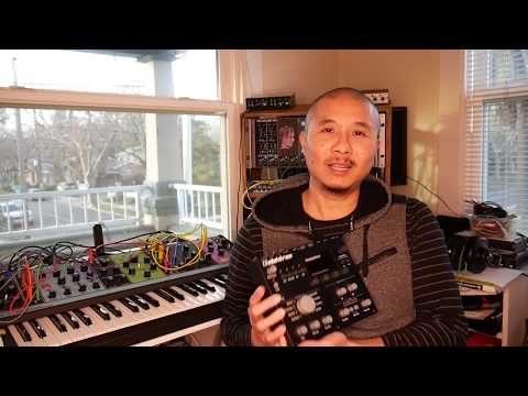 Taking Moog Matriarch Delay To The Next Level w/ the Elektron Analog Heat