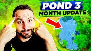 How To Restock Your Pond With Fish (3 Month Pond Revival Update)