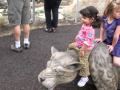 San Diego Zoo January 2010 StdDef