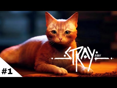 Stray Gameplay Walkthrough Part 1 [1080p HD PS4 Pro]