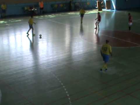 5 лигаФолио Плюс – Cykoria