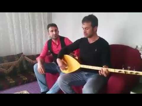 Jiwan adar dan heyle dinö