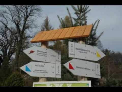 "Bieszczady, poezja i blues" Przemyslaw Chmielewski - Andrzej Szal, tekst Mirosław Welz