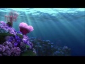 Finding Nemo Field Trip Extended