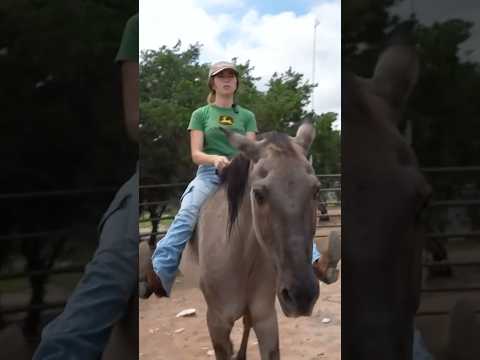 Montar a caballo es como sentarse en una pastilla de jabón 🐎