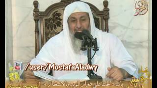 صورة شرح الأحاديث القدسية باب (الحث على دوام التوبة والاستغفار)إلى ح رقم40 لفضيلة الشيخ مصطفى العدوي