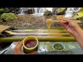 Eating Cold Noodle Flowing From Bamboo River