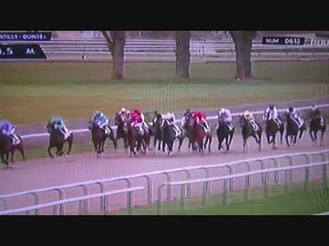 Prix Lypharita Chantilly 1900 mètres lr 03 avril