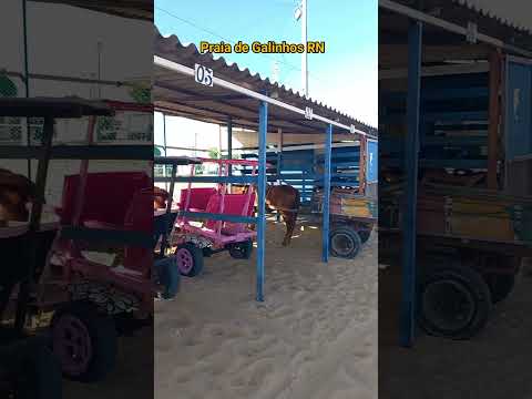 Pelas trilhas do RN. cidade de Galinhos. Pelastrilhasdorn@gmail.com