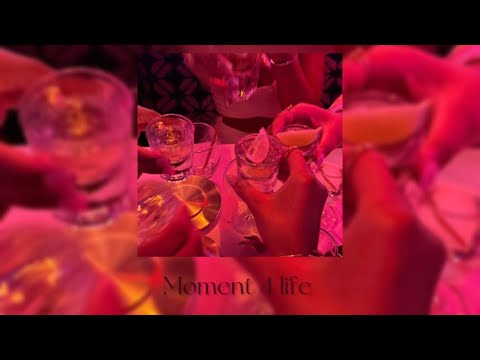 Nicki Minaj - Moment 4 life (sped up)