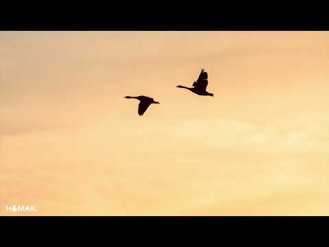 ☁︎Nevelskiy & Masha March⎥Leave A Tip