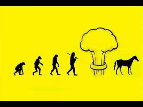 Mai avem nevoie si de 2 cai frumosi