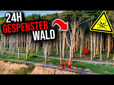 HORROR WALD ODER URLAUBSPARADIES?😱 | WIR ÜBERNACHTEN IM GESPENSTERWALD!👻