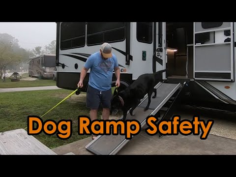 Does The Best Selling Dog Ramp On Amazon Really Work?