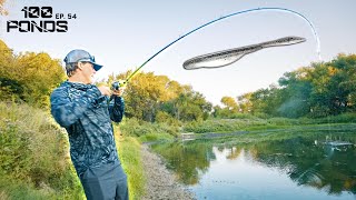 The Pond Lure That NEVER Let's Me Down! (100 Ponds Ep. 54)