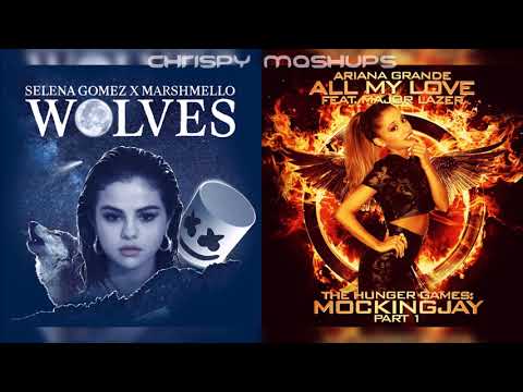 Marshmello, Selena Gomez, Ariana Grande, Major Lazer - Wolves / All My Love (Mashup)