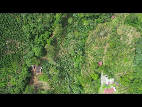 img-video