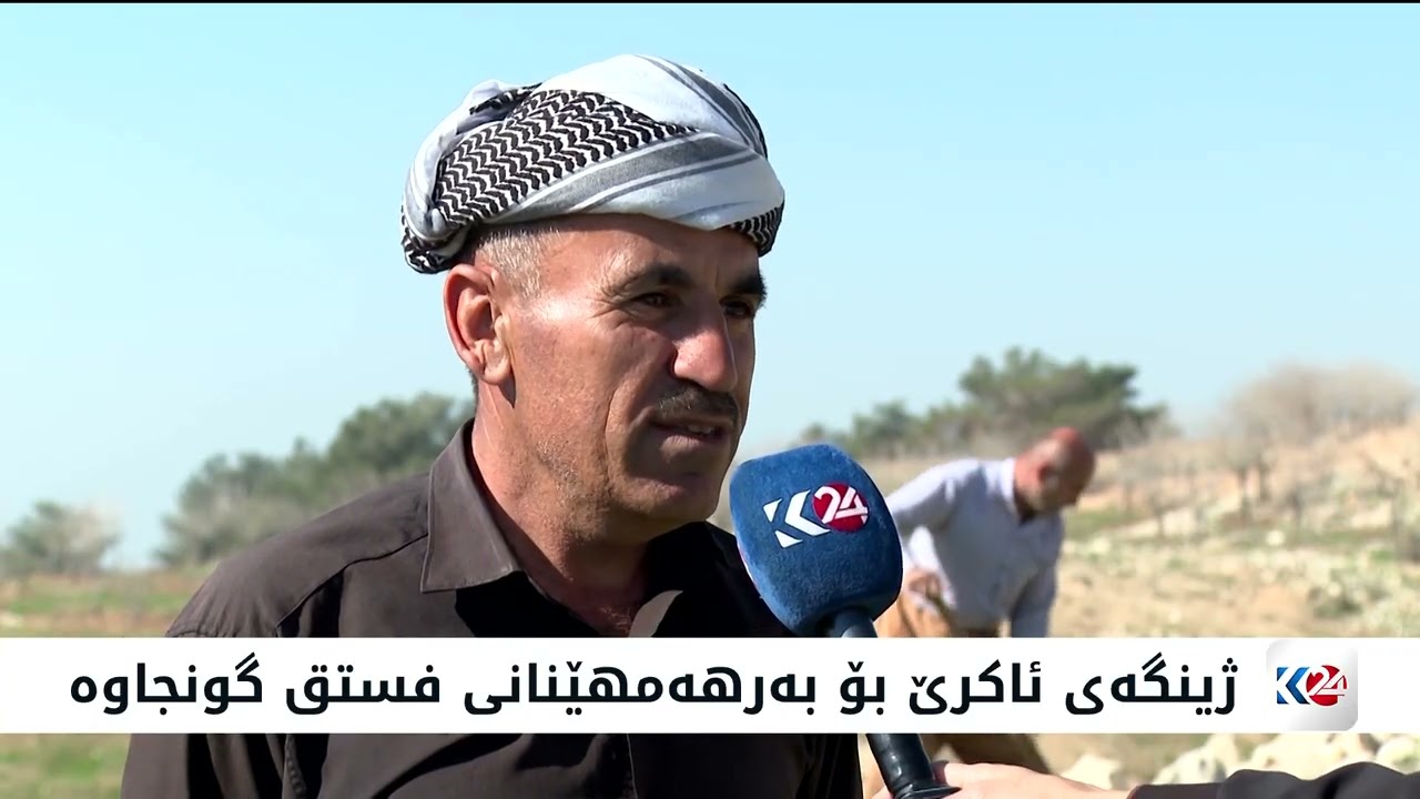 ڤیدیۆ | جووتیارانی ئاکرێ گرنگی بە چاندنی داری فستق دەدەن