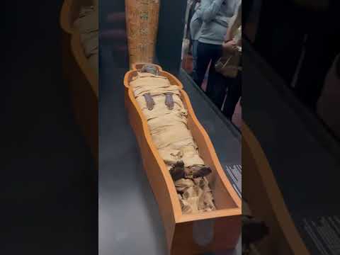 REAL Egyptian Mummy 😳 #egyptianmuseum #ancientegypt #museum #ancient #history #old #mummification