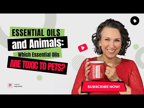 Essential Oils and Animals: Which Essential Oils Are Toxic to Pets?