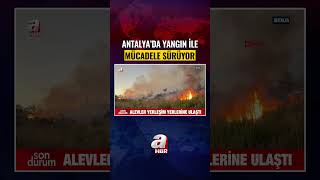 Antalya'da Orman Yangını! #shorts #haber
