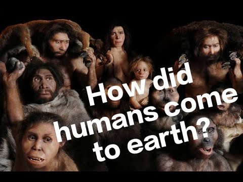 Hüman evolution15 Millions Years Of Human Evolution only i.. | @knowledgefact