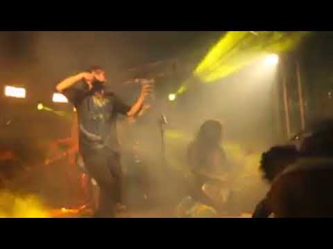 Roma Queime video